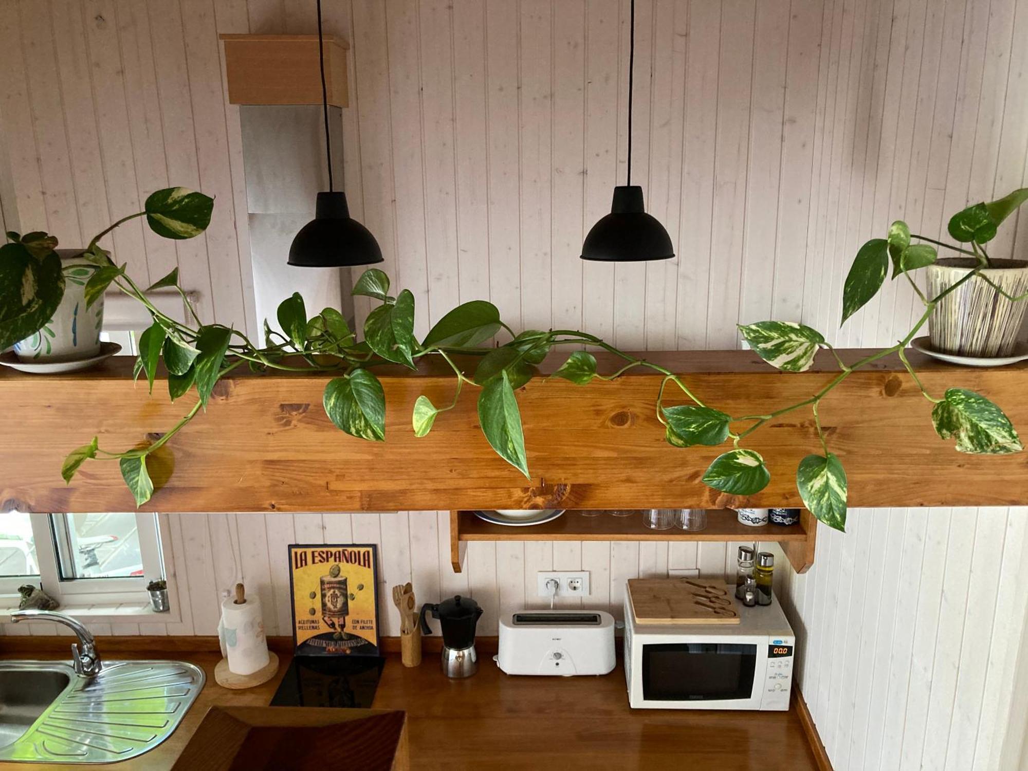 Acogedora Casa En Rinlo, En La Villa De Ribadeo Exterior foto